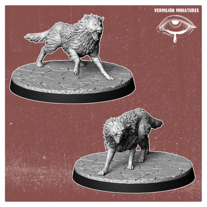 Spartan Hounds (Set of 2)