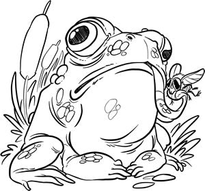 Frog Art Print