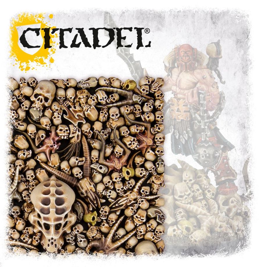 Warhammer Colour: Citadel Skulls