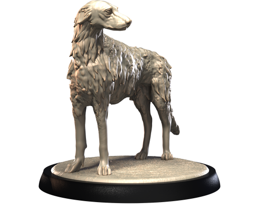 Borzoi