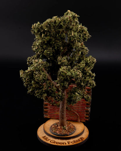 Mid Green Foliage (200ml)