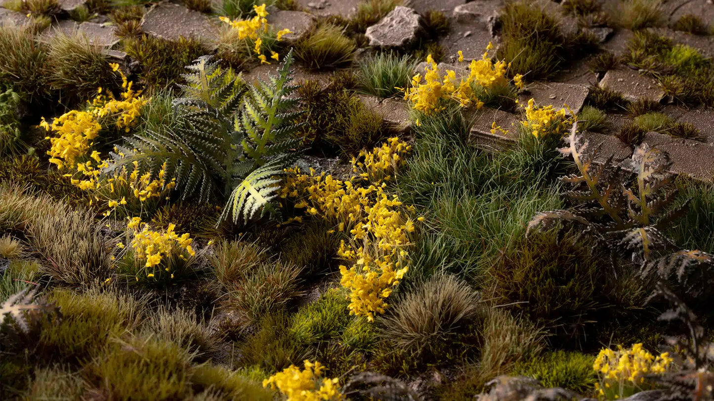 Yellow Flowers