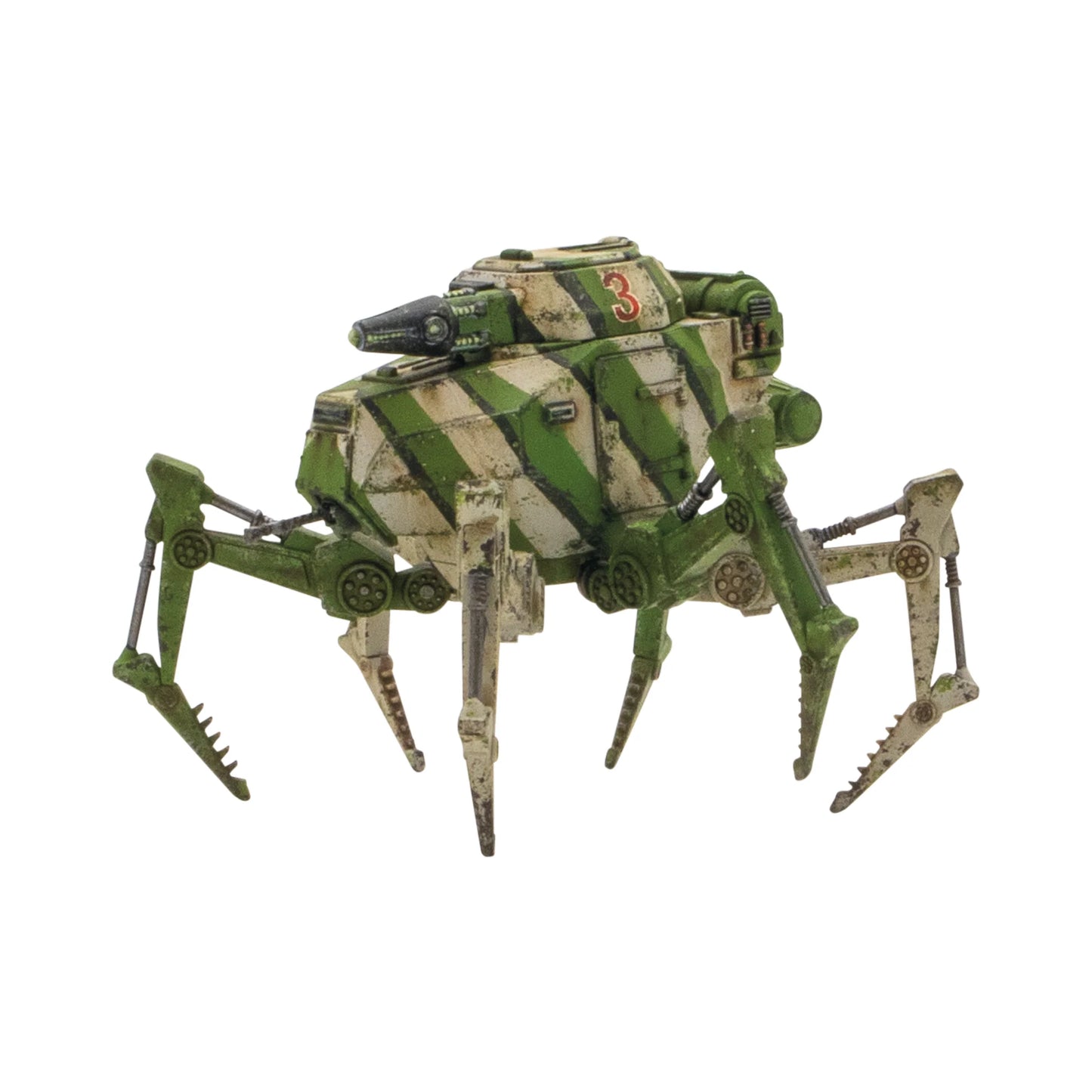 Vogelspinne Light Walker