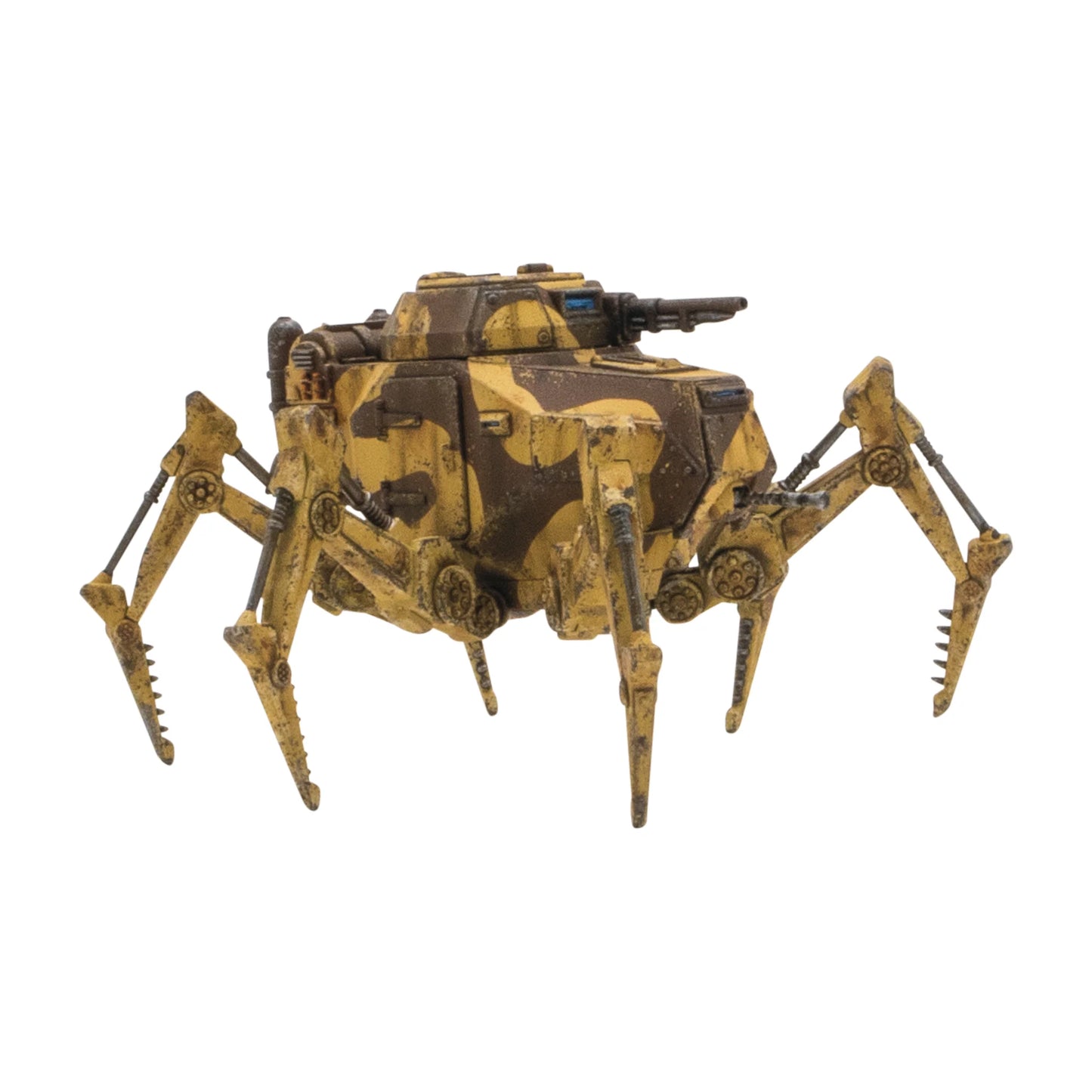 Vogelspinne Light Walker