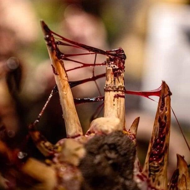 Gore Effect Paint | 15ml